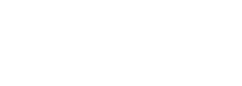 Flight Express Ltd logo